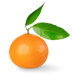 Tangerine with stem and leaves isolated on white background	