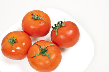 Tomatoes