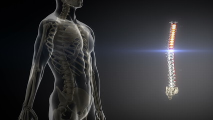 Spinning body with backbone scan