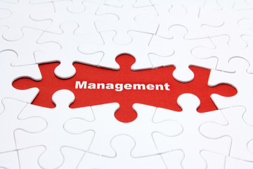 management puzzle