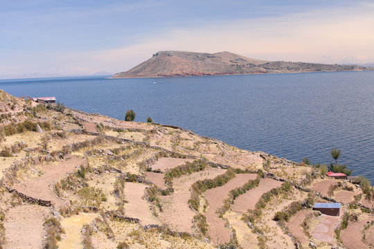 Agricultural terraces, Taquile island, lake Titicaca, Peru