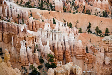 beautiful landscape in Bryce Canyon with  Stone formation