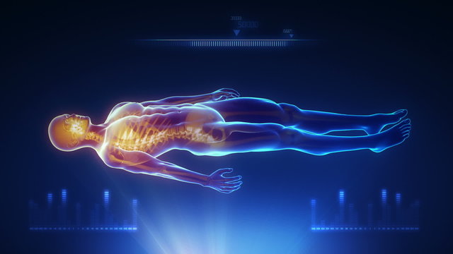 Human body x-ray scan with interface