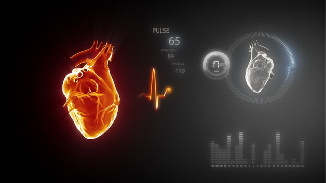 Human heart with pulse trace  and equalizer