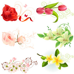 Set of different beautiful floral design elements