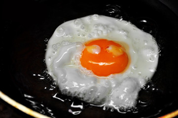 Fried Egg