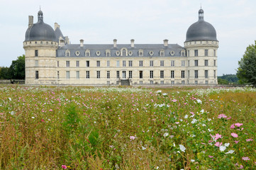 Château de Valençay dans un champ de fleurs