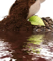 Foto auf Alu-Dibond gemahlener Kaffee, Blätter und Kaffeebohnen © Unclesam