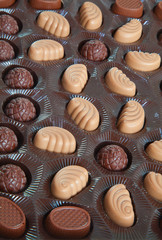 assortment of chocolates