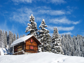 Winter holiday house