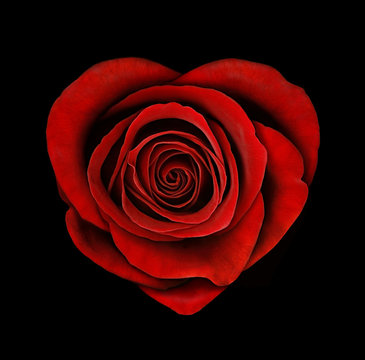Herzförmige Rose