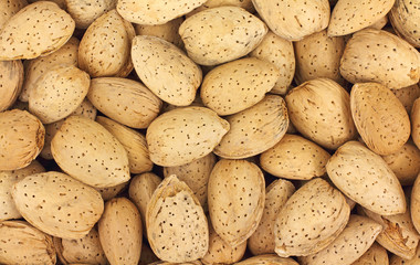 Close view of almonds in shell