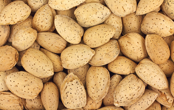 Close view of almonds in shell