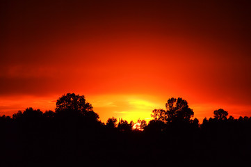 Fototapeta na wymiar Sonnenuntergang - sunset 109