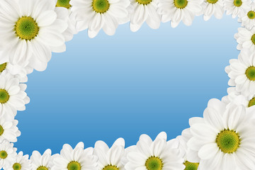 Flowers frame on blue background.