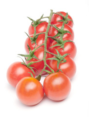 Cherry tomatoes on the branch