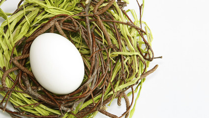 egg in the nest