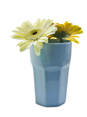 Two gerbera in ceramic vase