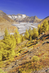 Aletschgletscher, Riederalp, Wallis, Schweiz