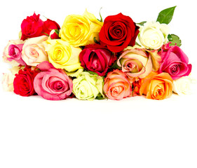 colorful roses, beautiful flower bouquet on white background