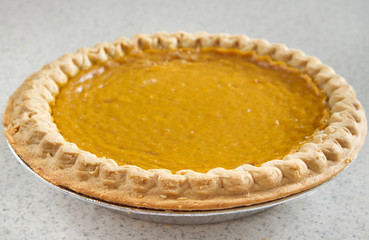 whole pumpkin pie