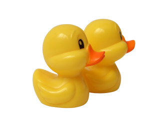 toy ducks swimming