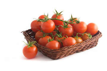 Tomatoes