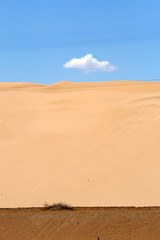 Colorado desert, USA..