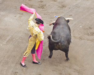 bull and bullfighter