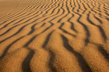 Desert background