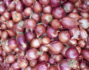 Onions closeup, background