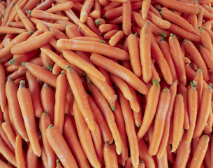fresh carrots closeup, background