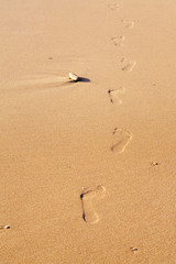 Row of human footprints on the beach sand