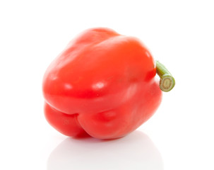 one red paprika over white background