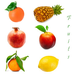 Fruits