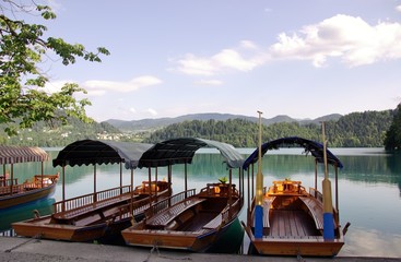 Naklejka na ściany i meble Wooden boats at lake Bled in slovenia