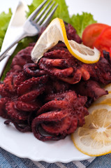 Octopus