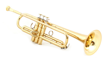 Fototapeta na wymiar golden trumpet