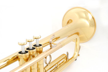 golden trumpet colseup - obrazy, fototapety, plakaty