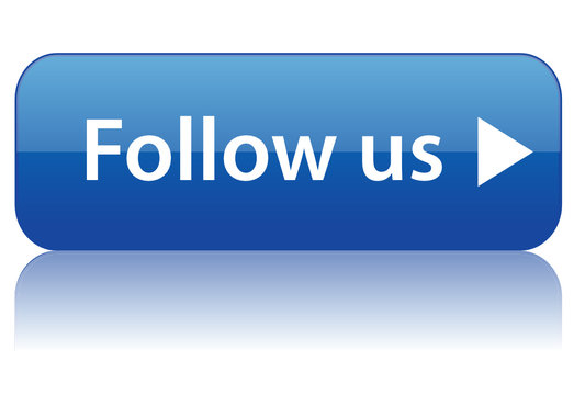 "FOLLOW US" Button (social networking web internet subscribe ok)