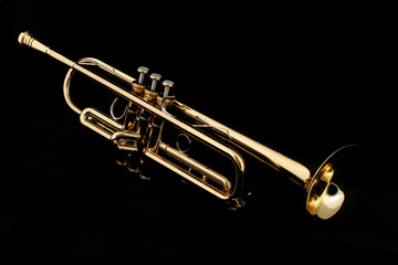 gold trumpet in night - obrazy, fototapety, plakaty