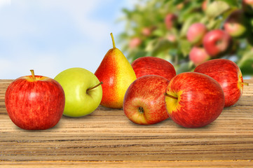 Obst 185