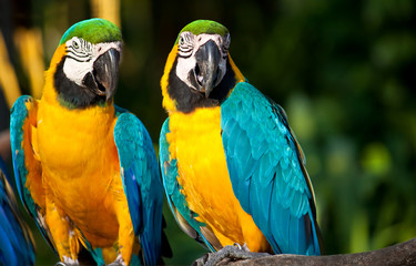 Look at that bird