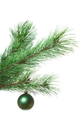 Fir-twig with christmas ball