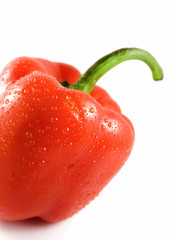 red pepper with water drops