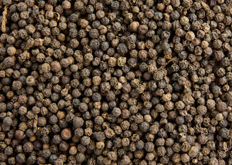 black pepper as background