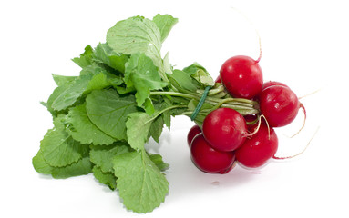 Radish