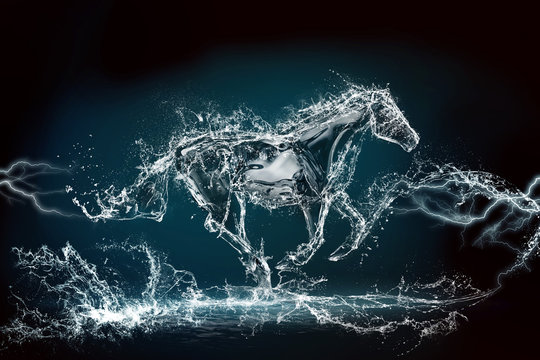 horse water storm