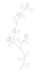 Obraz premium blumenranken-weiss