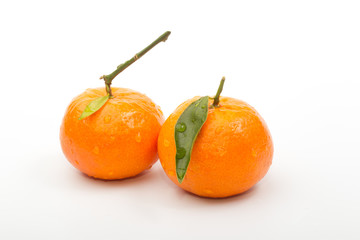 tangerines